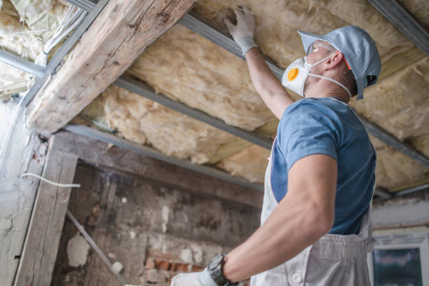 Best DIY Insulation Kits and Guidance in Canton, NC
