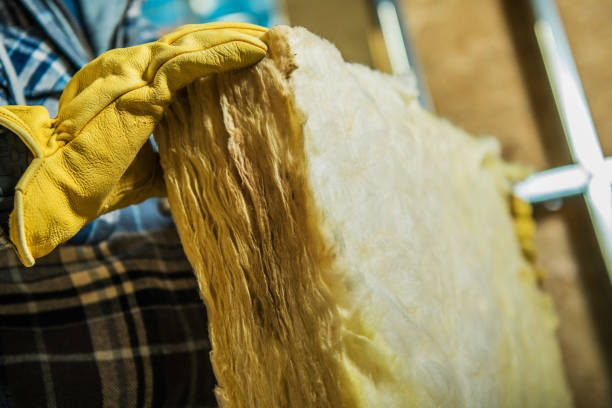 Best Eco-Friendly Insulation in Canton, NC